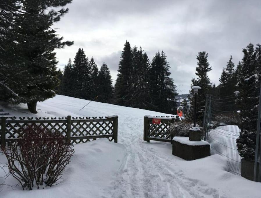 Aux Pieds Vue Superbe Sur Les Pistes *