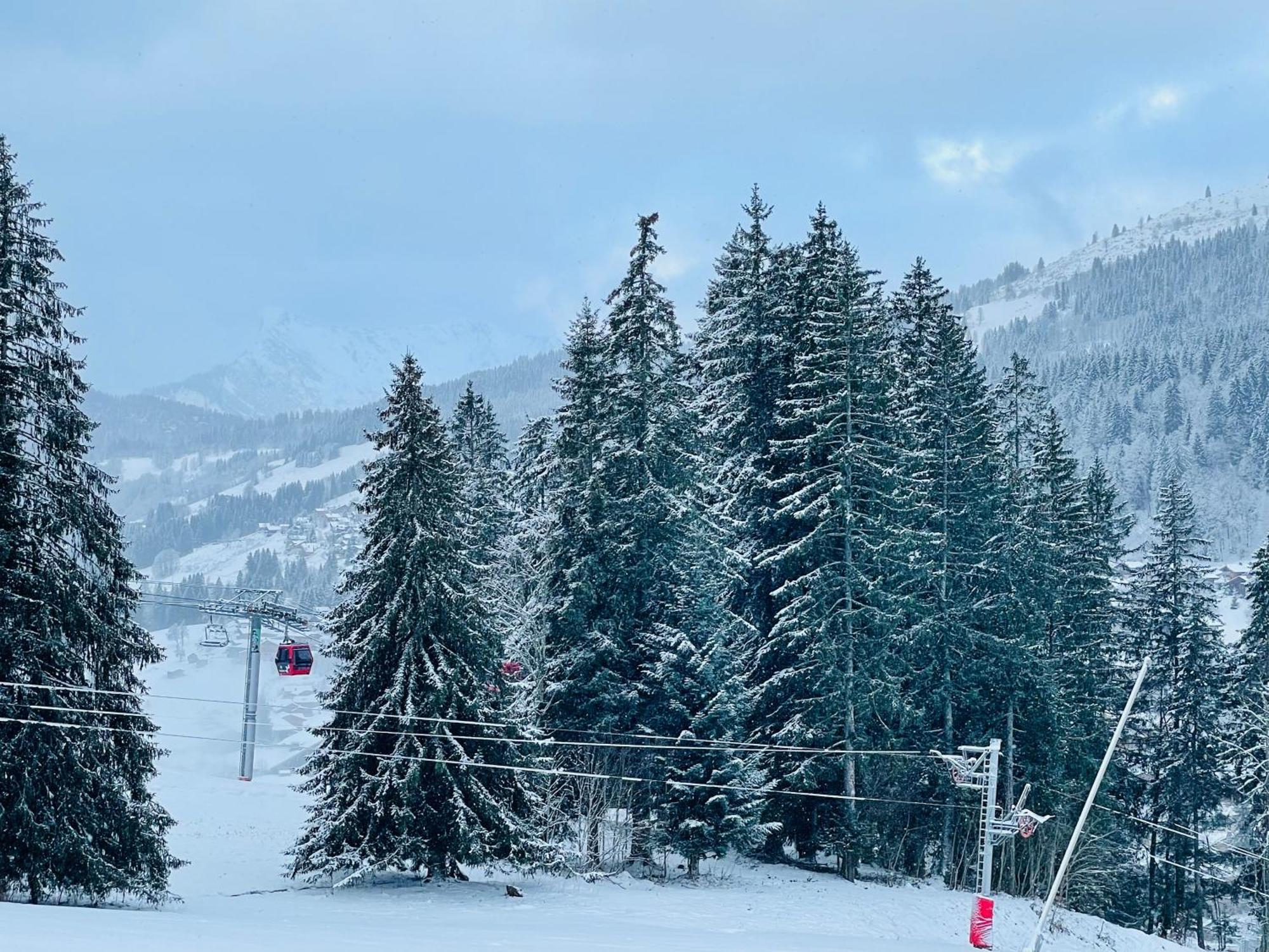 Aux Pieds Vue Superbe Sur Les Pistes Apartamento *