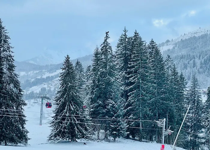 Studio Ski Aux Pieds Vue Superbe Sur Les Pistes