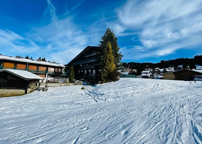 Studio Ski Aux Pieds Vue Superbe Sur Les Pistes