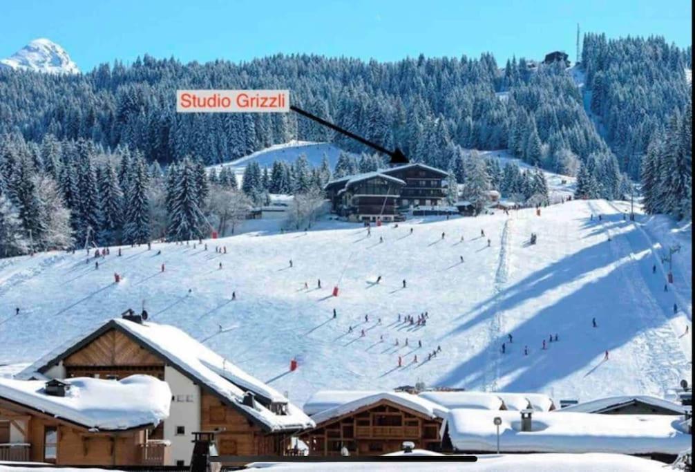 Aux Pieds Vue Superbe Sur Les Pistes